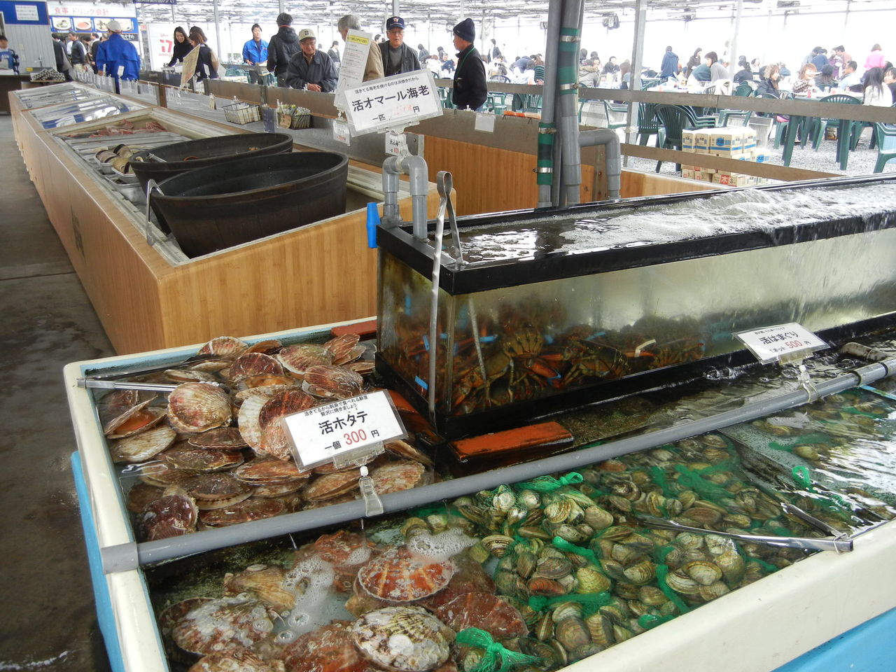 魚太郎の大繁盛 愛知県美浜町 飲食店コンサルタント 田中司朗のブログ 魚太郎の大繁盛 愛知県美浜町 飲食店コンサルタント 田中司朗のブログ
