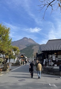 IMG_2378