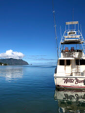 IMG_3548[1]