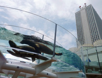 ��²�ۣ�TR2011081000091[1]