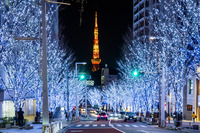 20211115_tokyo_illumination__5