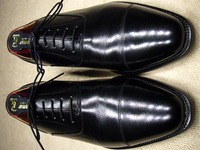 imgc4862355zik2zj[1]