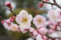 10c7e846298cb93cda6610c67f061612[1]