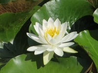 29082d15a33a2b1d48de87212854ff86b13276d1.63.2.2.2