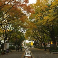 12277029_1651156005172667_780634307_n[1]