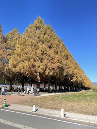 IMG_3719