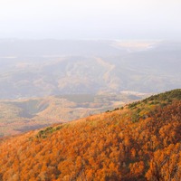 14717584_1595791077393761_1915017868794134528_n[1]