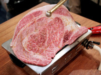 disp_136844[1]