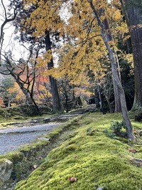 IMG_5261