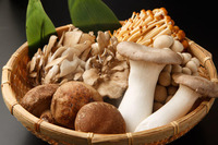 pic1_menekiryokuotakamerushokuji[1]