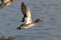 20121229_403169[1]