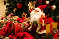 xmascolor