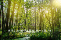 main_image_36738963759eece6257ae5c0fcb66076f73ff
