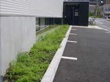 070e3e05.JPG