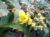 287d030f.jpg