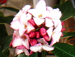 4b7940b0.jpg