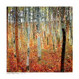 af2-00054_b~Forest-of-Beech-Trees-c-1903-Posters