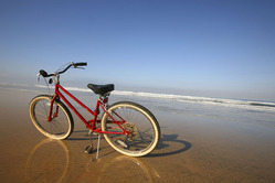 iStock_000001701818XLarge