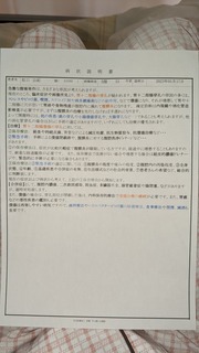PXL_20230123_045747995