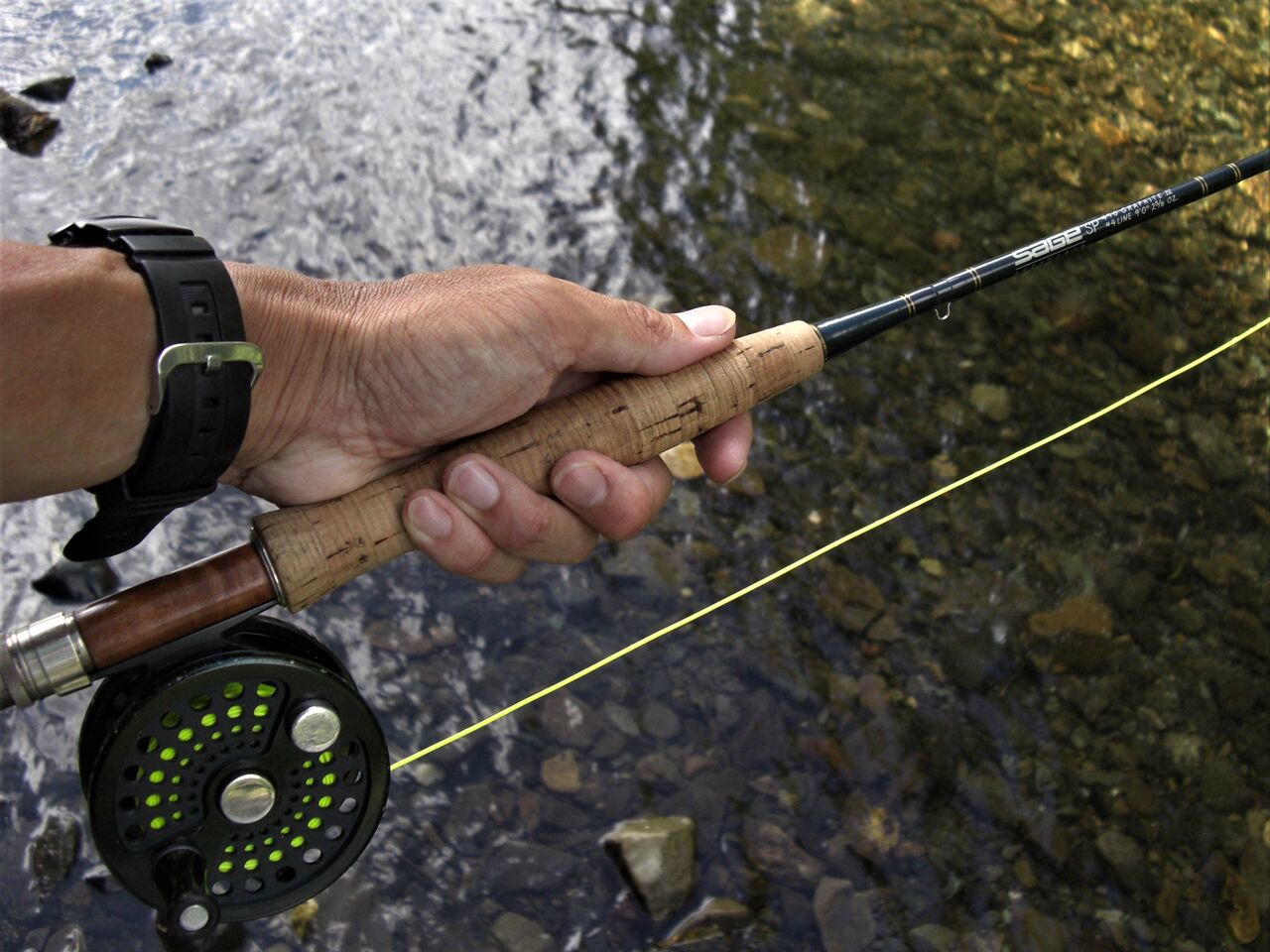 憧れのロッドを手に F Fとしての証