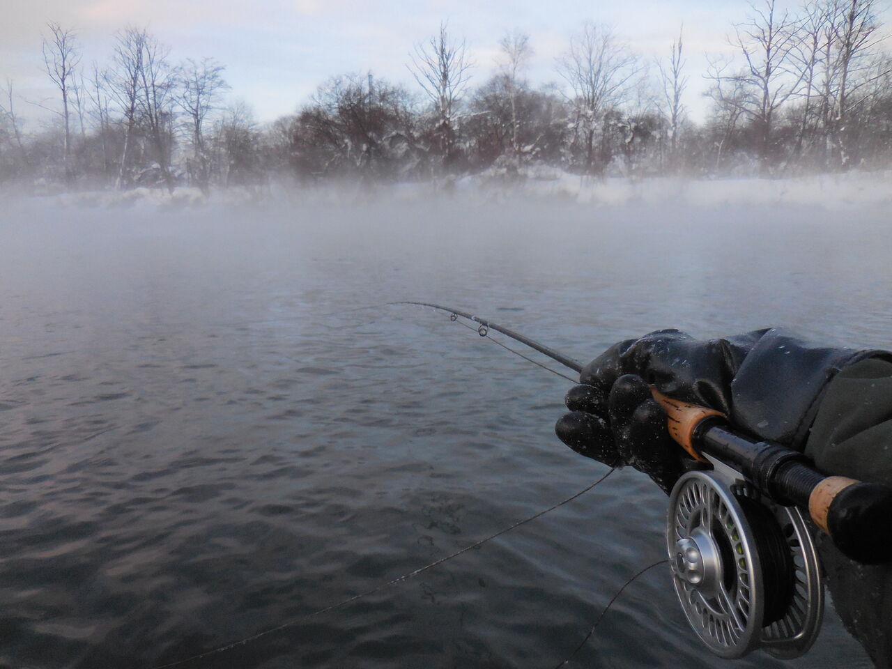 初釣りでの嬉しい初ヒット F Fとしての証
