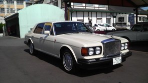 パールホワイトに変身!