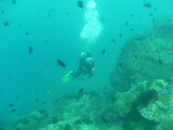 31b499c0.jpg