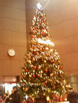 クリスマスツリー