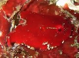 d596b7a2.jpg