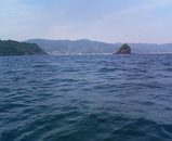 伊東海上