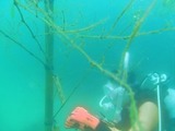 f676449a.jpg