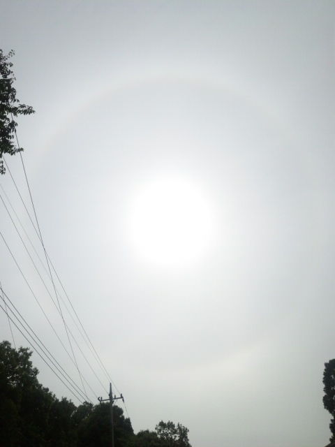 あつログ 今 おひさまのまわりに虹のわっかがでています Livedoor Blog ブログ