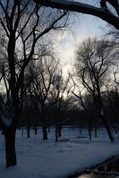 IMG_6159
