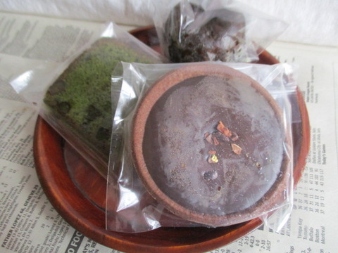 子連れもok おしろのまちの市2019 4 28 29楽しみ方 ボンサイ マムのはじめてでも簡単 おしゃれミニ盆栽の作りかた