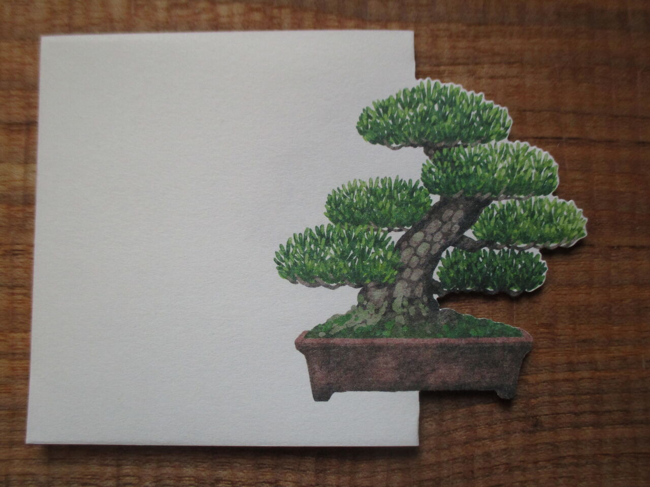 海外へのお土産に バレンタインにも 香川県の盆栽メモ ボンサイ マムのはじめてでも簡単 おしゃれミニ盆栽の作りかた