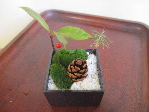 ダイソーの食器が使える 漆器風升でお正月盆栽 ボンサイ マムのはじめてでも簡単 おしゃれミニ盆栽の作りかた