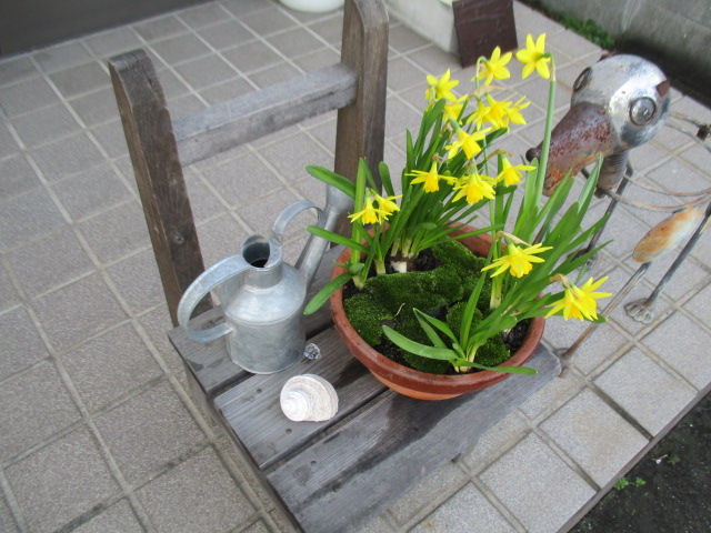 盆栽ママの庭便り 植栽から始まるご近所コミュニティー ボンサイ マムのはじめてでも簡単 おしゃれミニ盆栽の作りかた 盆栽ママの庭便り 植栽から始まるご近所コミュニティー ボンサイ マムのはじめてでも簡単 おしゃれミニ盆栽の作りかた