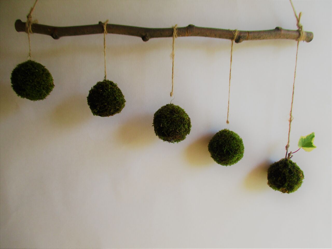 100均の水苔が使える 簡単吊るせる苔玉の作り方 ボンサイ マムのはじめてでも簡単 おしゃれミニ盆栽の作りかた