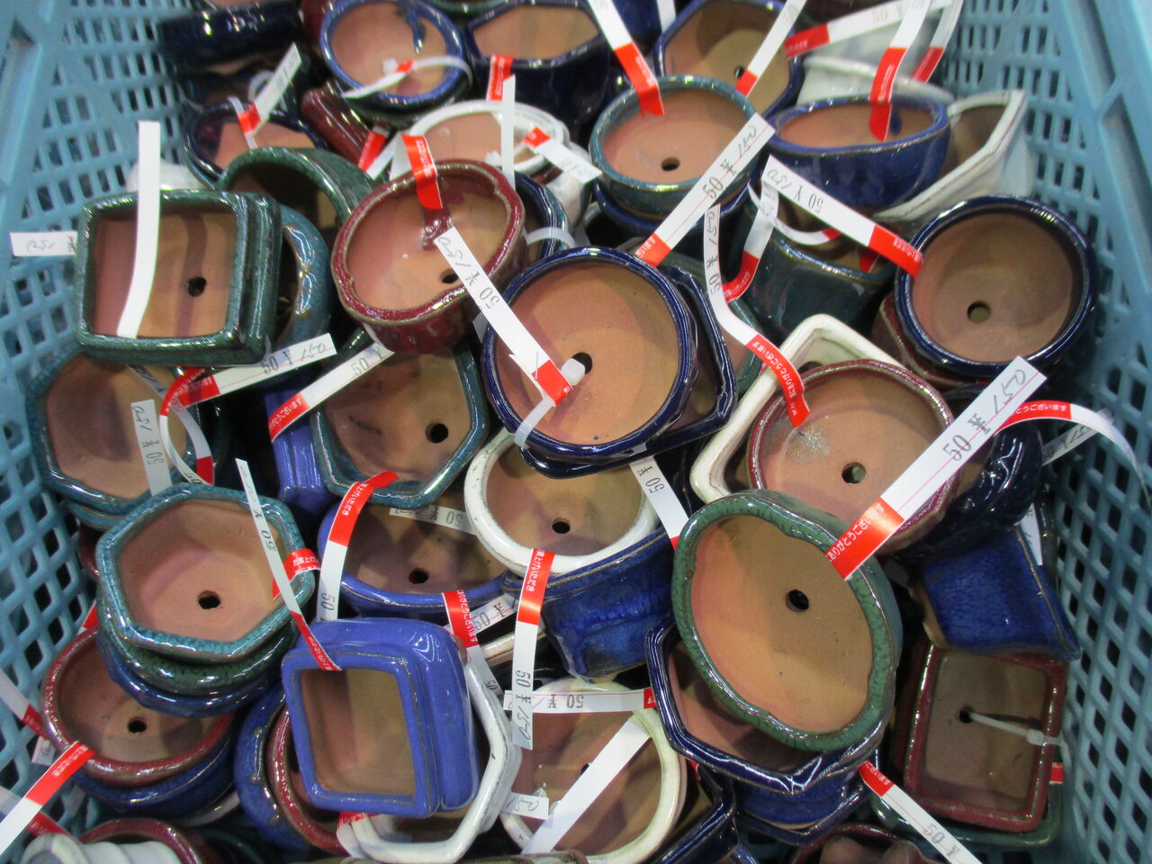 盆栽グッズはどこで買う？ : ボンサイ・マムのはじめてでも簡単