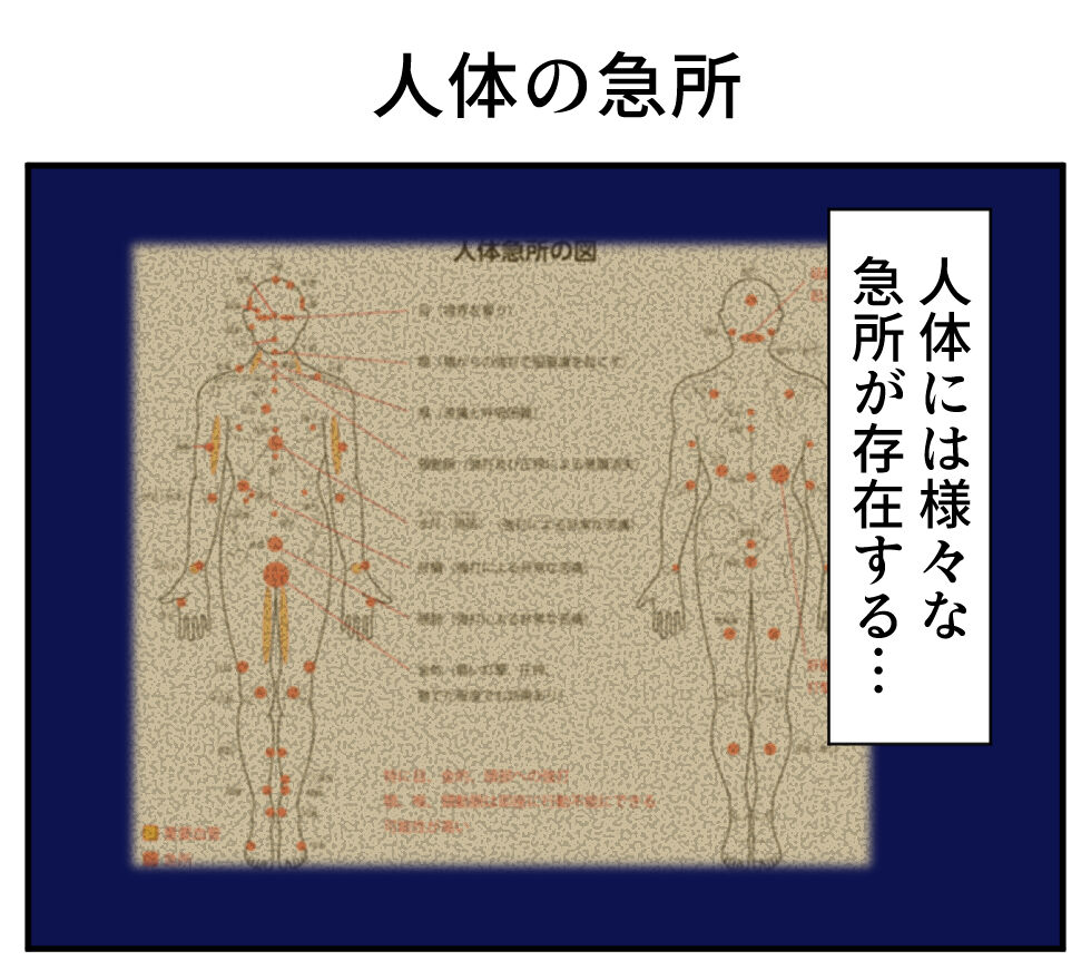 人体の急所 : てんご兄弟 ～イタズラ大好き兄弟日記～
