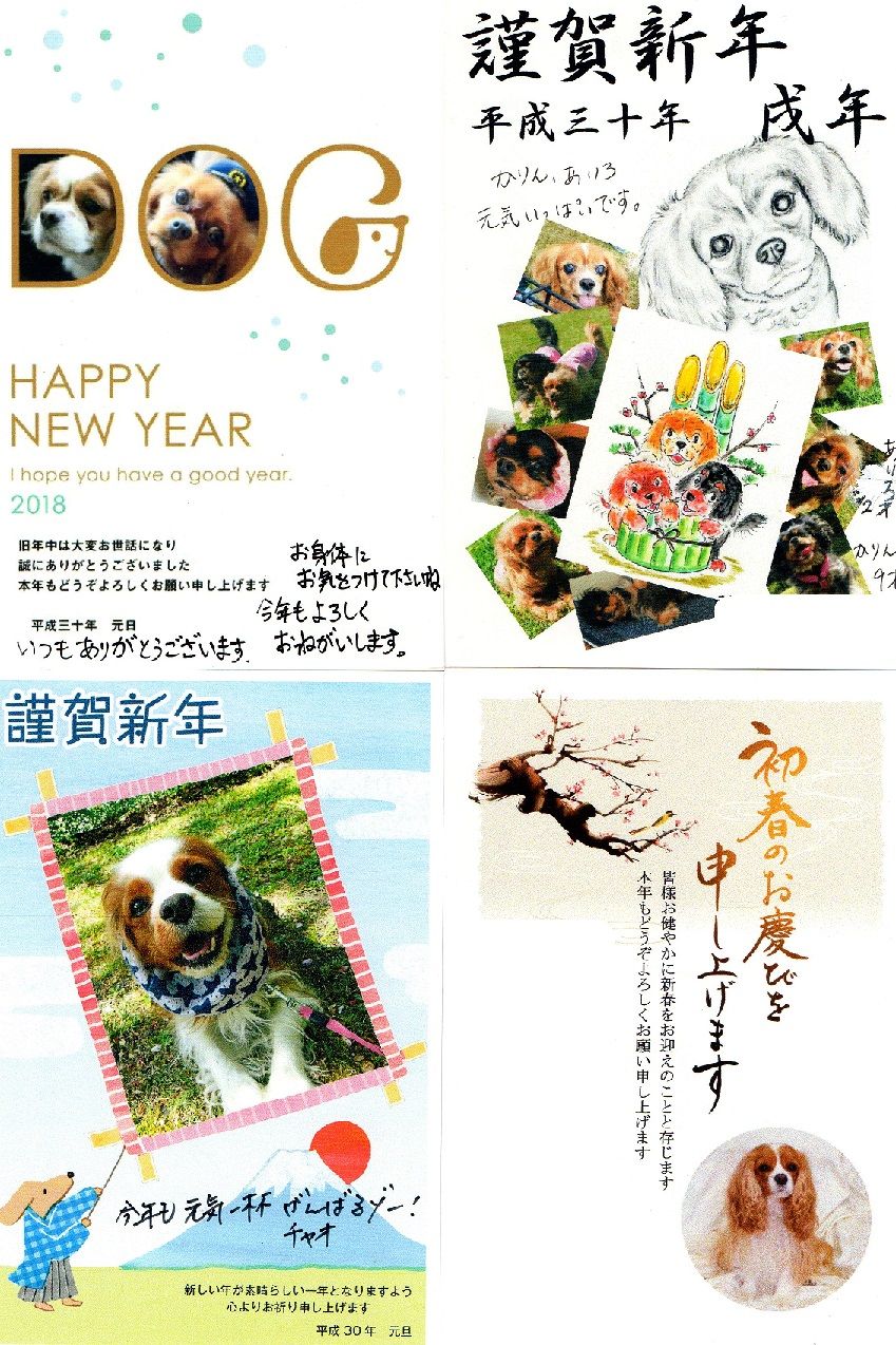 18年頂きました年賀状 no1 長寿をめざす キャバリア専門情報館 18年頂きました年賀状 no1 長寿をめざす キャバリア専門情報館