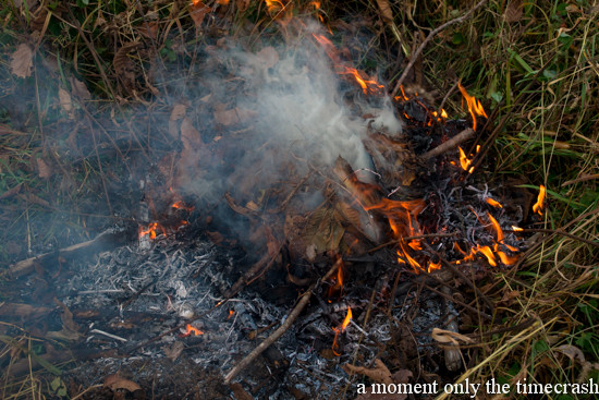 落ち葉で芋を焼こう ふかふか亭 思考の領域 落ち葉で芋を焼こう ふかふか亭 思考の領域