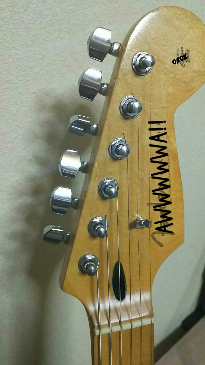 ストラトネック塗装 : Rock & Bluesな日々