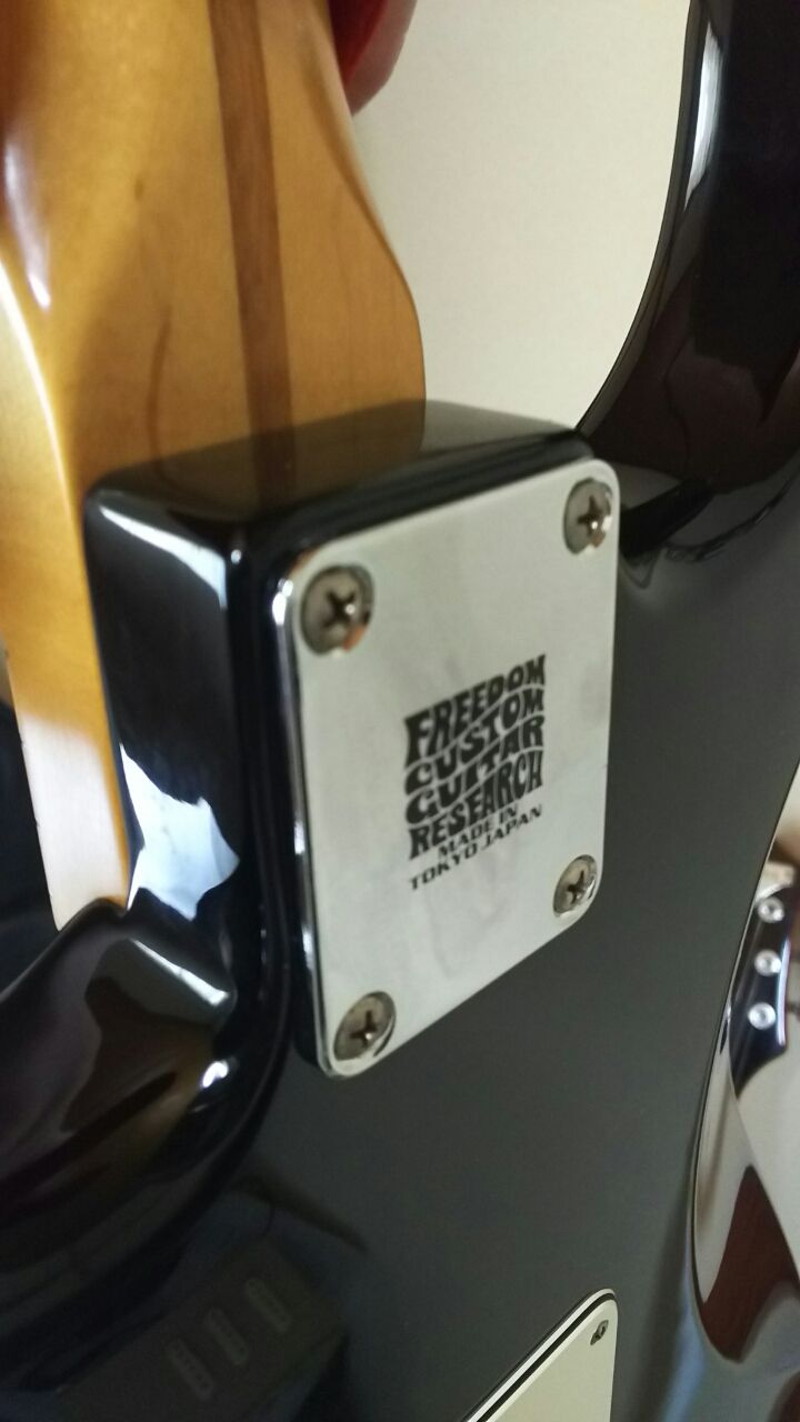 フェンダーメキシコストラト～ピックアップ交換、その他改造～ : Rock