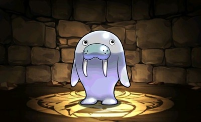 505