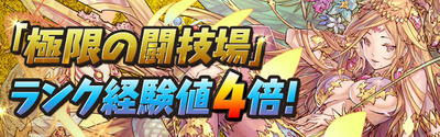 rank_exp4