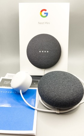 nestmini_01