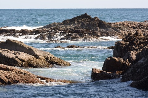 DSC_8260