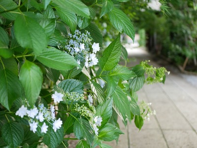 P1000550