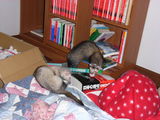 20070123_4